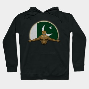 Cheetah Pakistan Hoodie